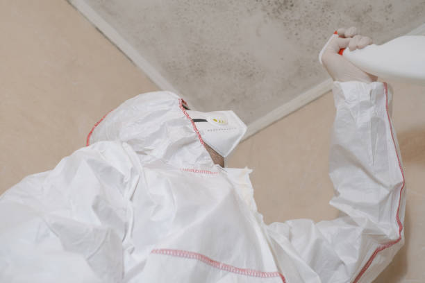 Best Residential Mold Removal  in Travelers Rest, SC